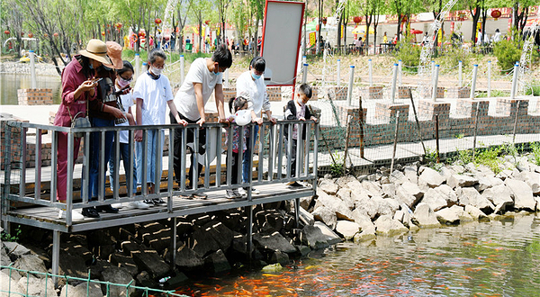 卧龙湾康养小镇