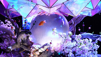 奈良金鱼博物馆