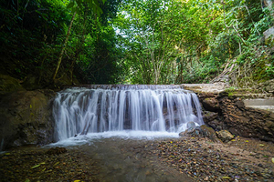 基诺山幽河谷热带雨林景区