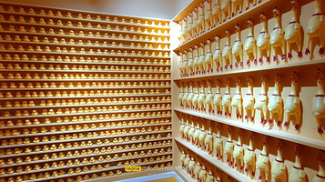 重庆独角兽星空艺术馆