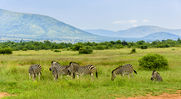 匹林斯堡国家公园