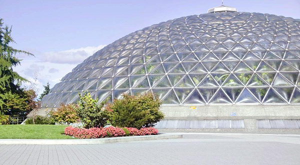 布鲁代尔室内植物园