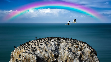 青海湖-鸟岛景区