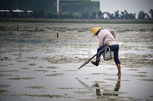 红树林赶海人家
