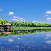 黑龙江富锦国家湿地公园