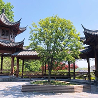 铜陵市铜官山森林公园