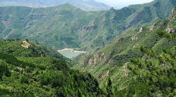 龙山