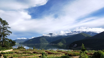香格里拉高山植物园