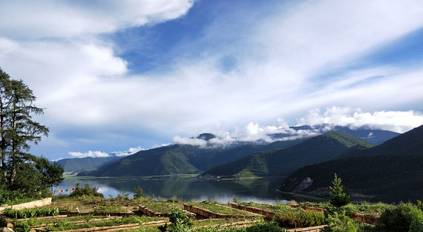 香格里拉高山植物园