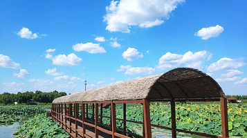 白洋淀水上人家