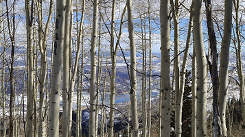 逊克县古纳温雾凇景区