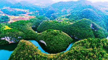 龙湖花海生态观光园