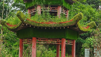 九龙溪田园综合体