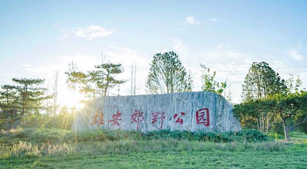 雄安郊野公园