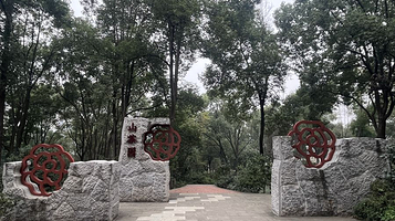 成都植物园-山茶园