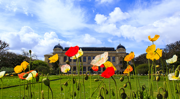 巴黎植物园