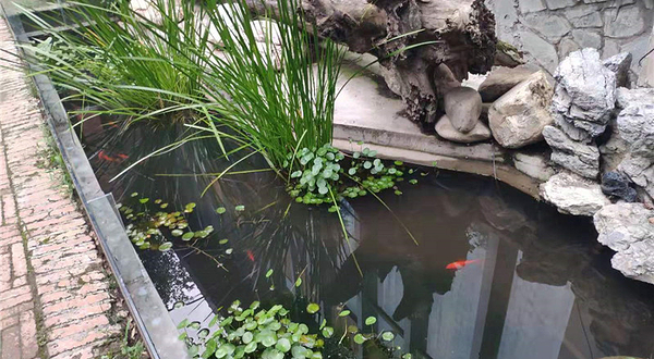 西郊山林休闲养生度假公园