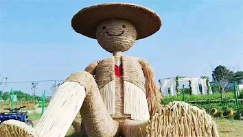 印象太安花海田缘休闲度假村