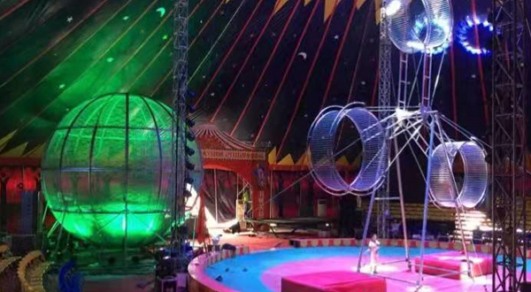 商丘市虎跃动物王国