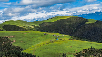 藏北大草原