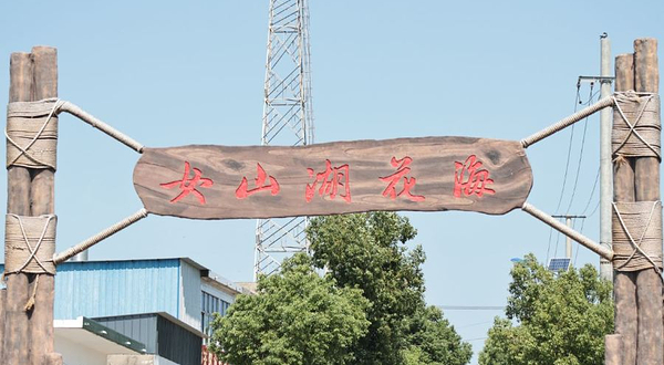 途居女山湖花海