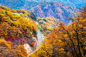 六安市金寨县马鬃岭风景区