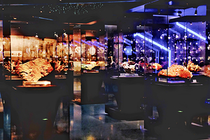 内蒙古自然博物馆