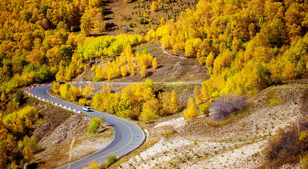 黄岗梁国家森林公园