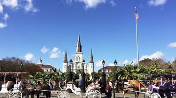 新奥尔良城市公园