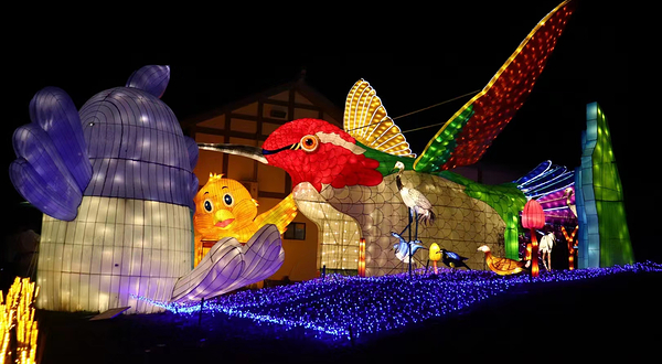 艾雅康鸟类生态博物馆