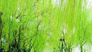 伊宁城市海景公园