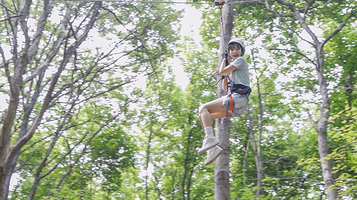 枫树湾丛林冒险乐园