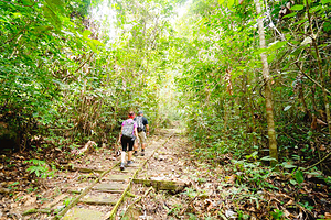 加汀山国家公园