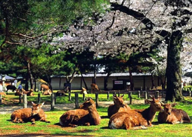 唐韵生态旅游区
