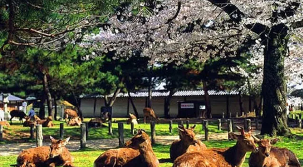 唐韵生态旅游区