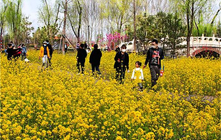 凤凰苑农业科技园