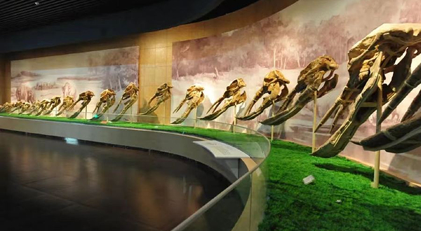 和政古生物化石文化旅游区