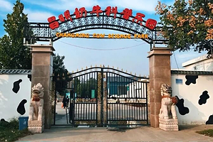 昌明奶牛科普乐园