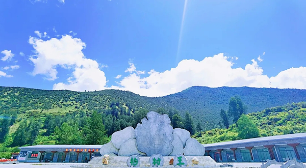 世界柏树王园林