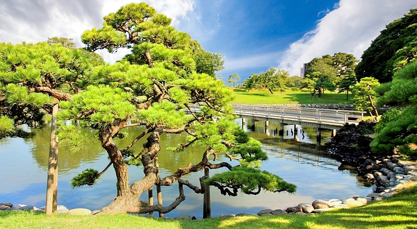 隅田公园