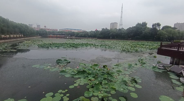 南湖公园