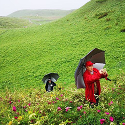 裕民县芍药谷