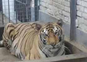 漯河市人民公园动物园