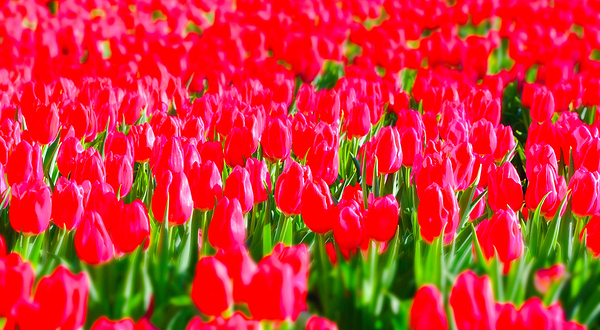 凯光新天地旅游度假区