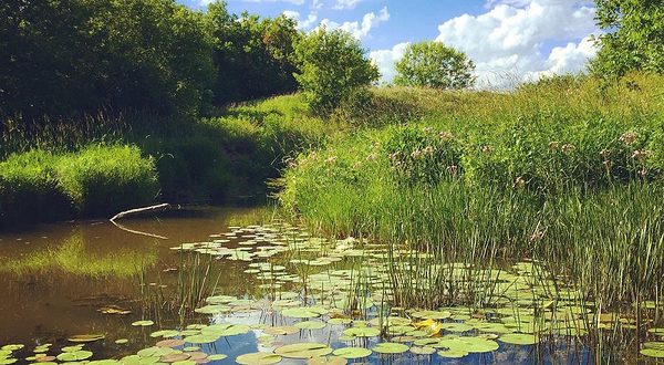龙湖国家湿地公园