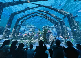 猫咪博物馆(唐山吾悦广场店)