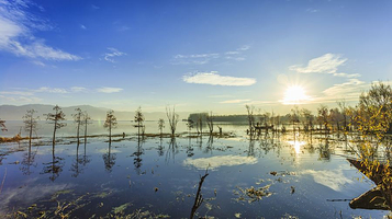 洱海月湿地公园