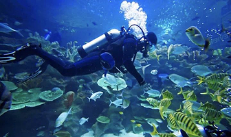 西安梦潜潜水俱乐部