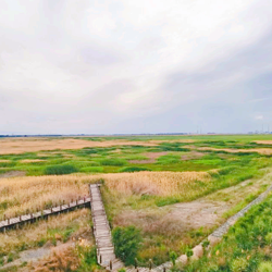 玛纳斯国家湿地公园