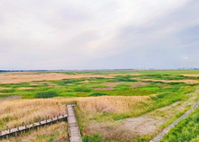 玛纳斯国家湿地公园